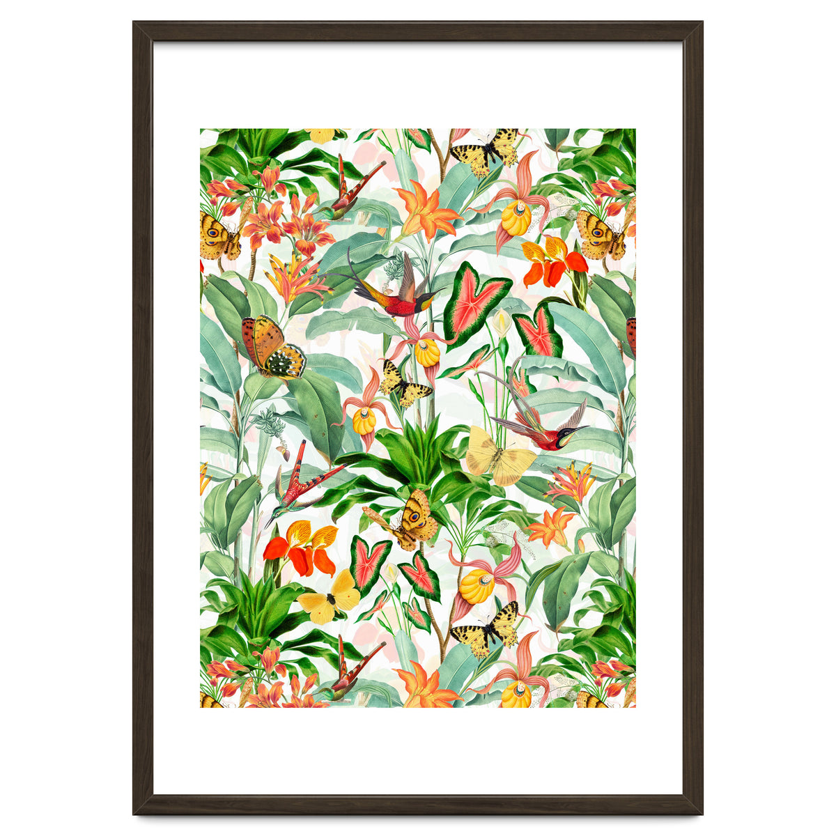 Birds And Butterflies In Tropical Jungle