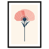 Pink Half Poppy thumbnail