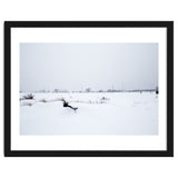 Drinking fountain covered with snow thumbnail