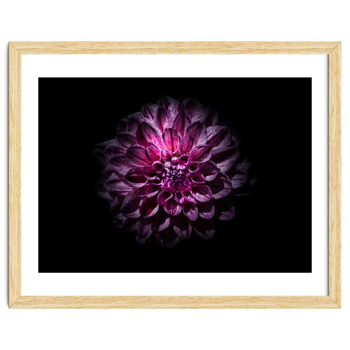 Backyard Flowers No 57 Color Version