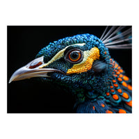 Close Up Of A Peacock Bird Head Eye (Print Only)