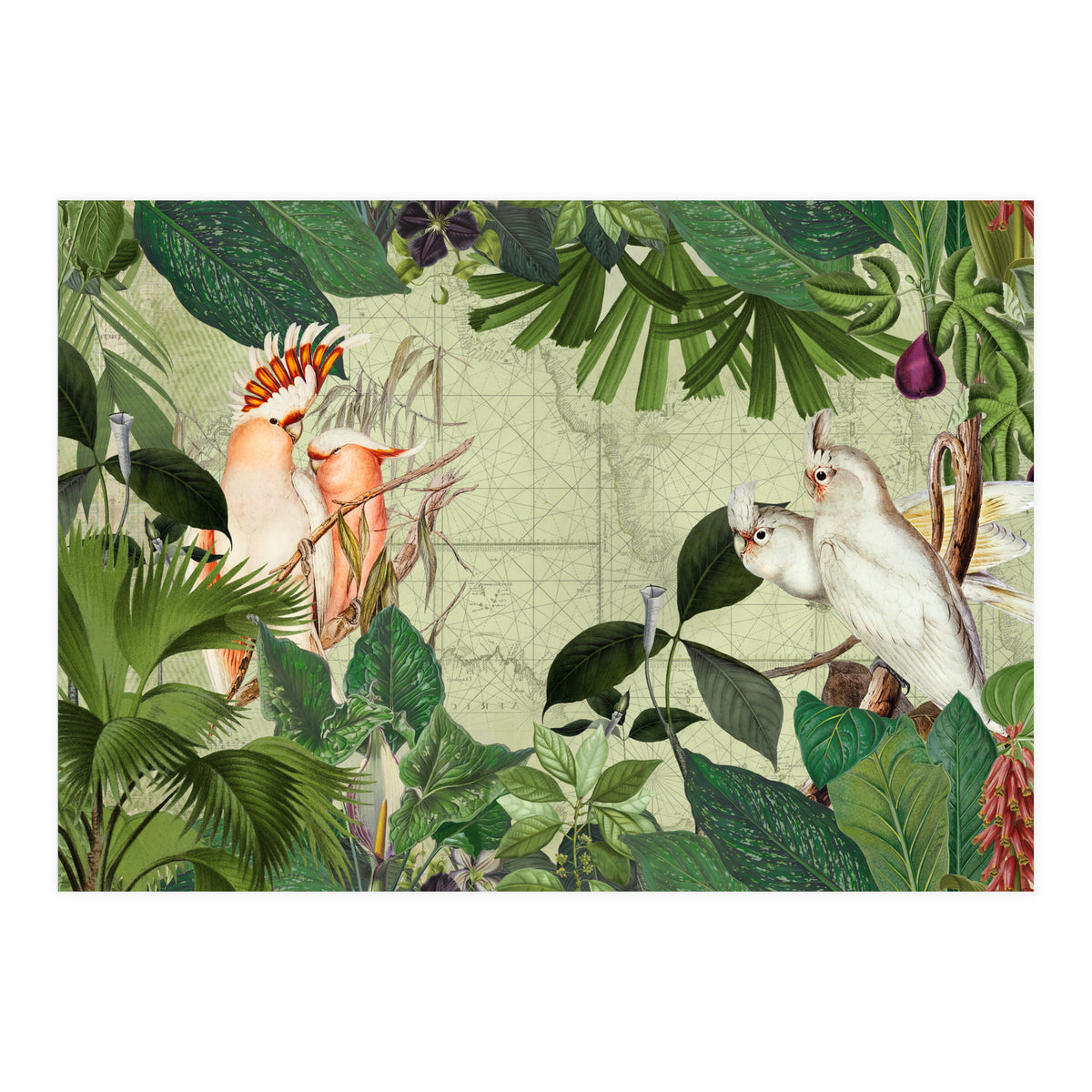 Cockatoo Island Green (Print Only)