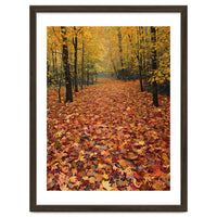 Ethereal Autumn Forest Path