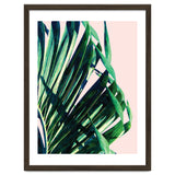 Palm V2 thumbnail