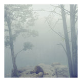 Silence of breath - 02 (Print Only) thumbnail