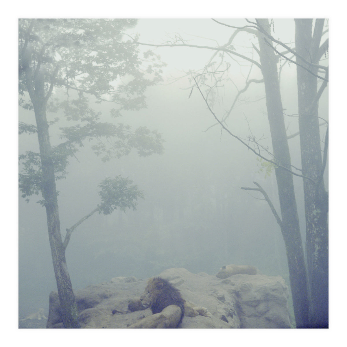 Silence of breath - 02 (Print Only)