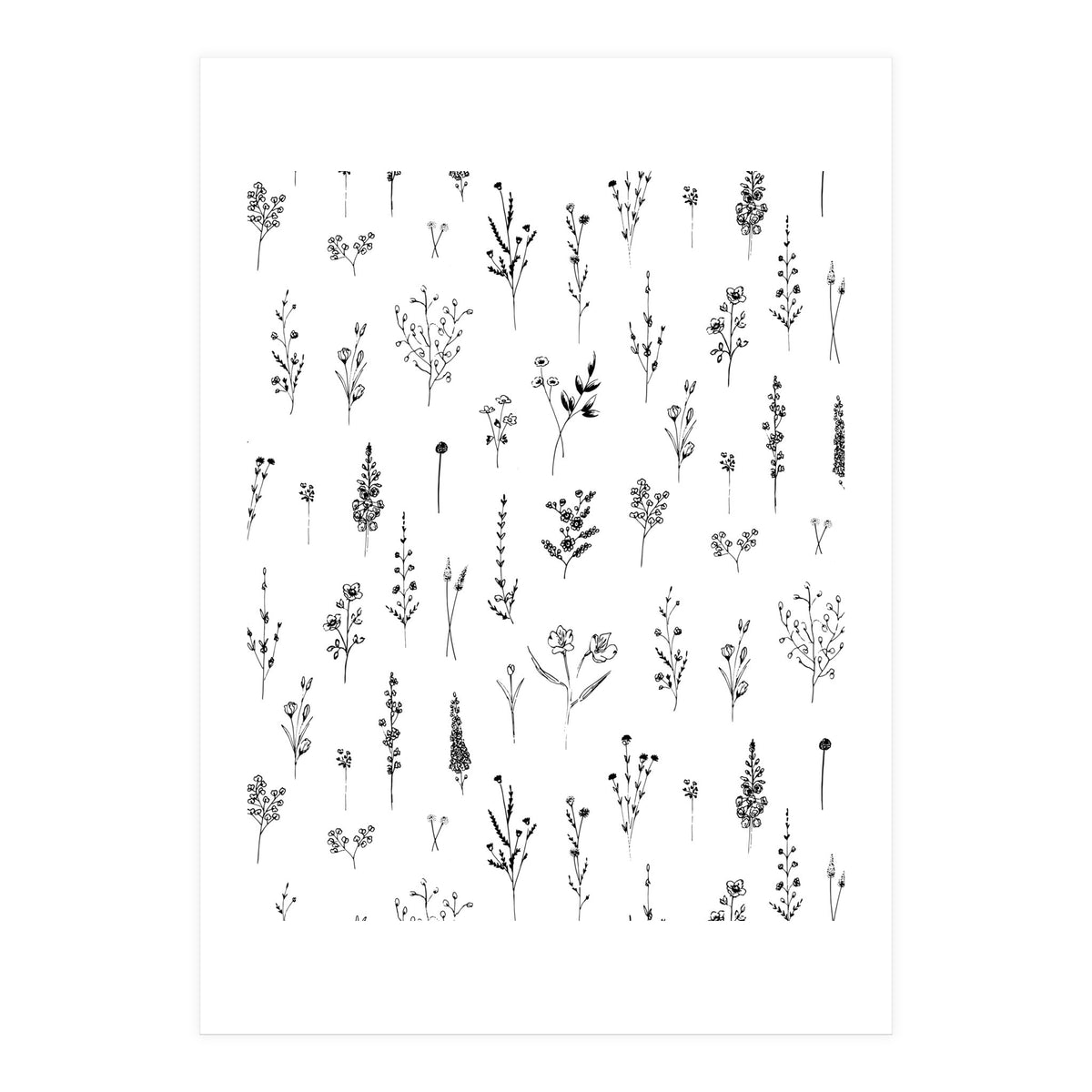 Wildflowers Minimalist Pattern (Print Only)