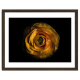 Backyard Flowers No 72 Color Version thumbnail