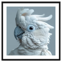 White Cockatoo Bird Portrait Close Up