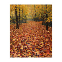 Ethereal Autumn Forest Path (Print Only)
