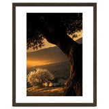 The Hill thumbnail