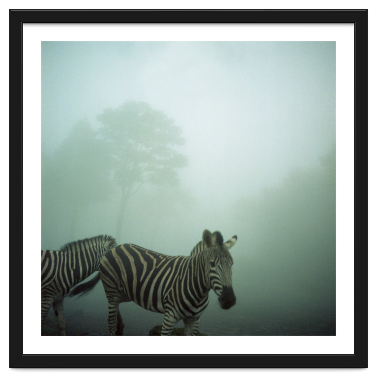 Silence of breath - 16