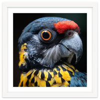 Close-up Portrait of a Vibrant Parrot