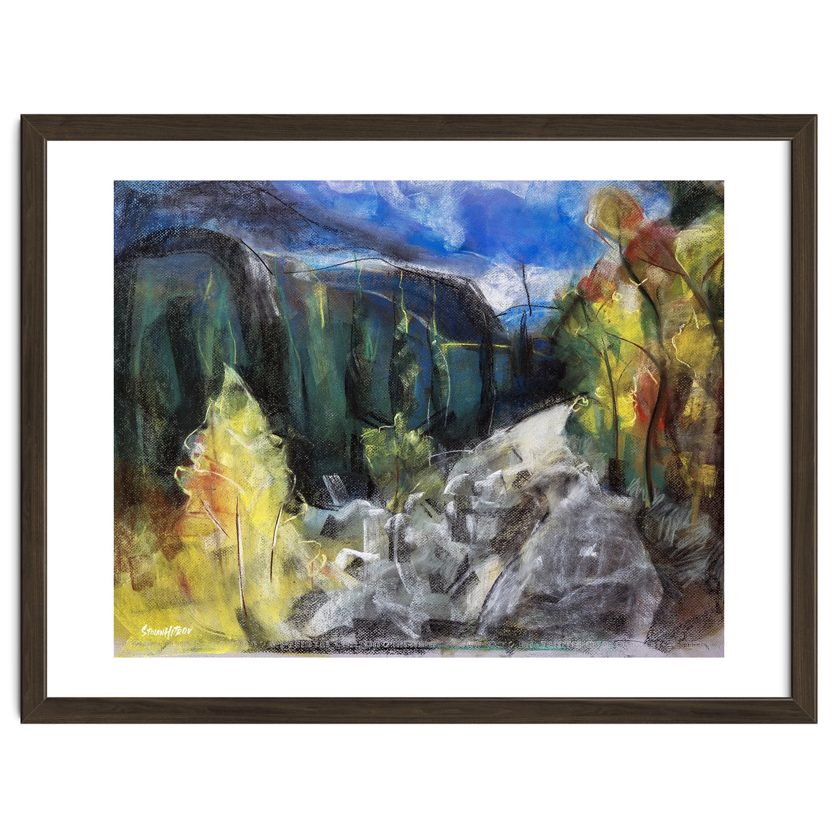 The Forest of Rila Mountain