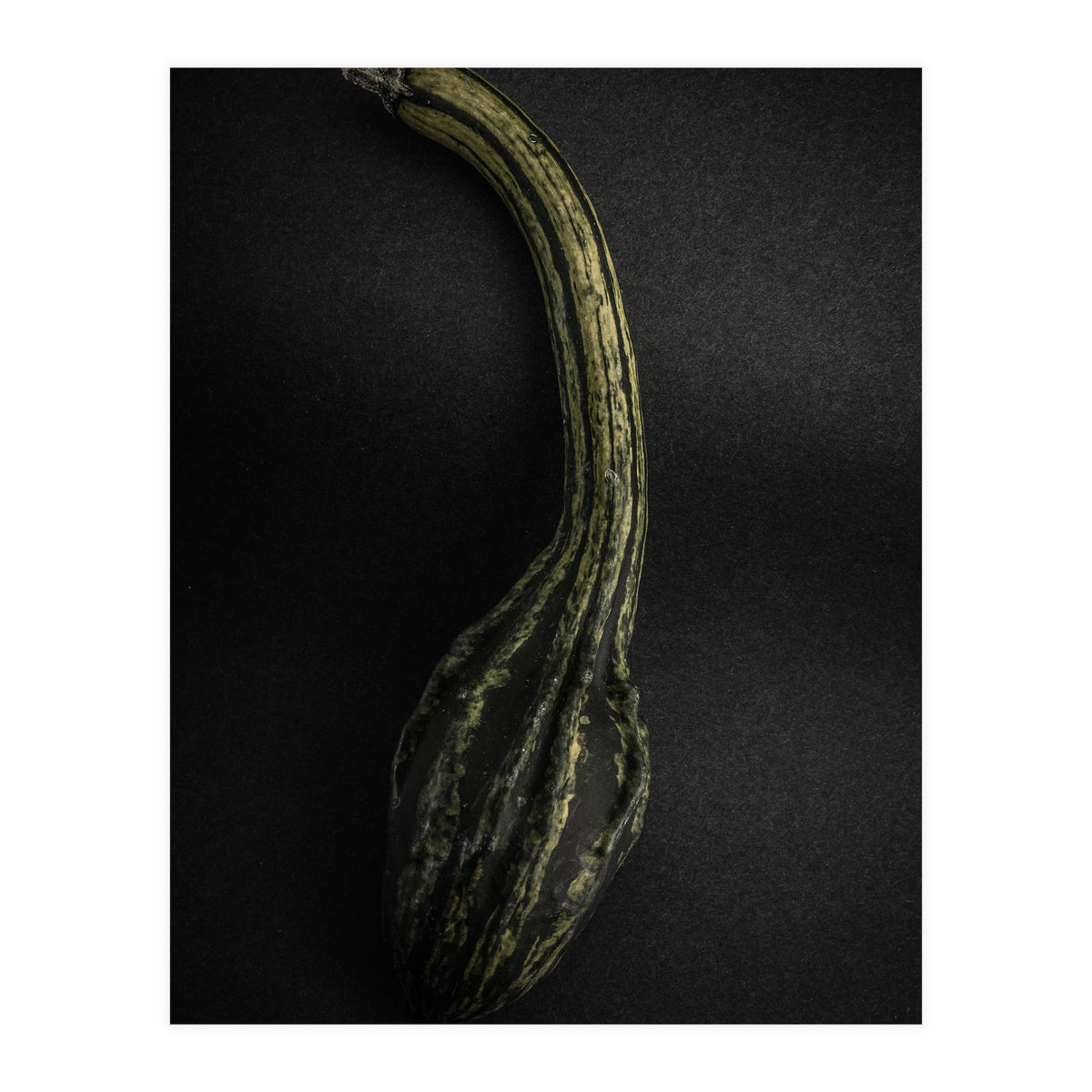 Gourds No 9 Color Version (Print Only)