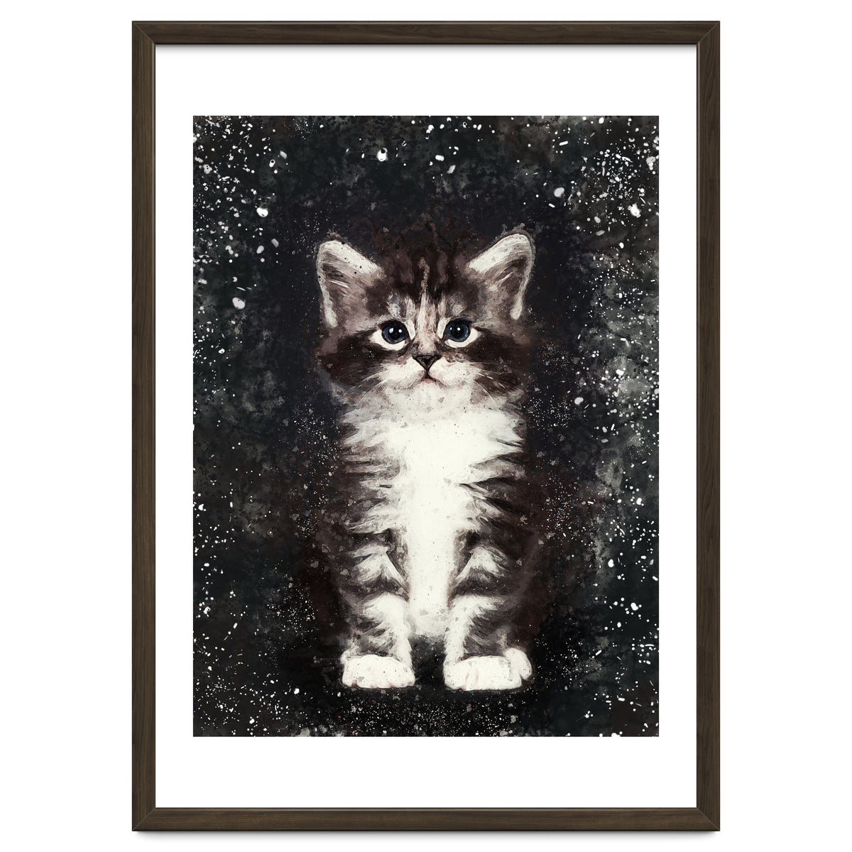 Bicolor Cute Kitten Portrait