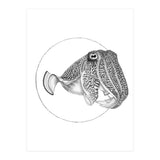The Fascinating Cuttlefish (Print Only) thumbnail