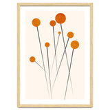 Dreaming Daisies thumbnail