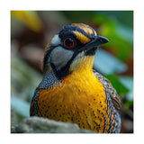 Close-up of a Yellow Bird featuring a Striking Red eye (Print Only) thumbnail