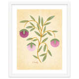 Vintage Fruits thumbnail