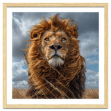 Majestic Lion Portrait Windblown Mane Outdoors thumbnail
