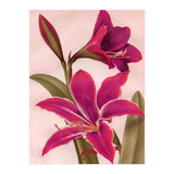 Vintage Floral (Print Only) thumbnail