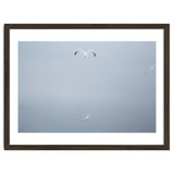 A flying seagull in the winter sky thumbnail