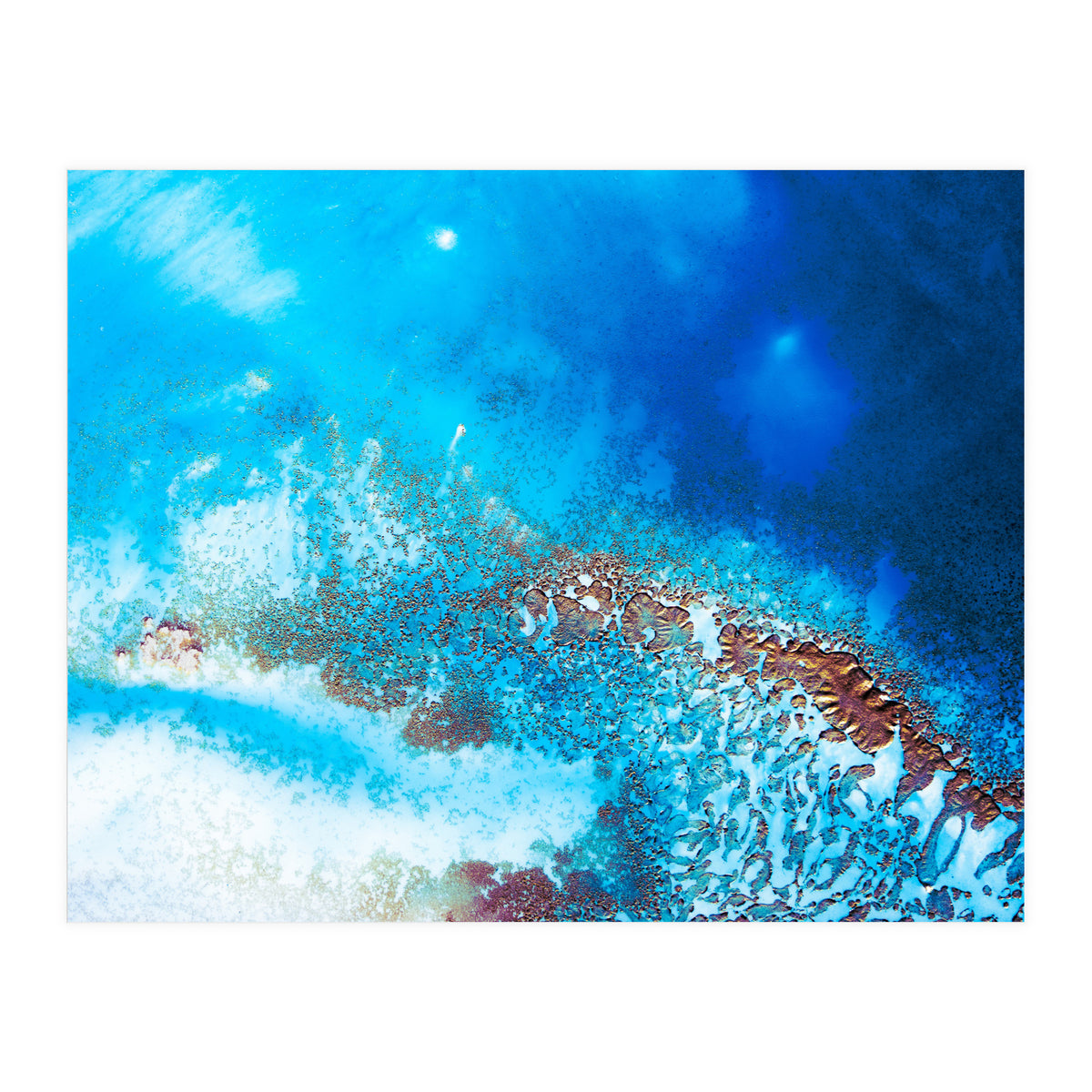 Into The Blue (Print Only)