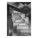 Evolving | Black & White (Print Only) thumbnail