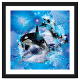 Orca thumbnail