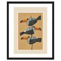 Tropic Trio