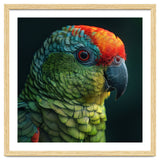 Close Up Colorful Parrot Bird Feather thumbnail