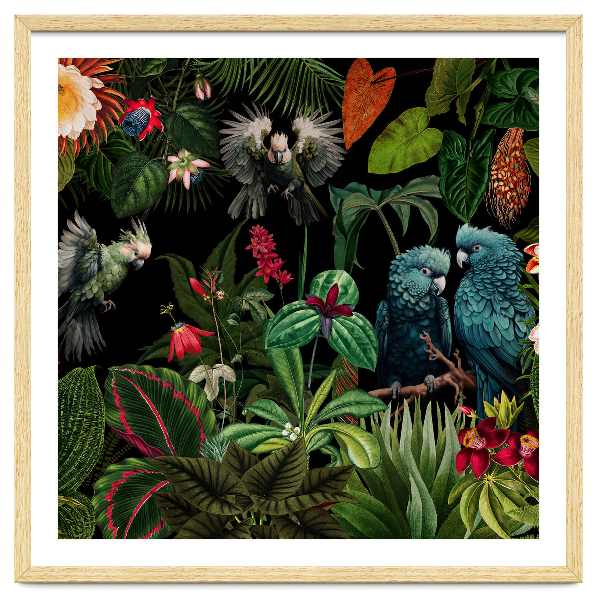 Moody Botanical Midnight Jungle Birds
