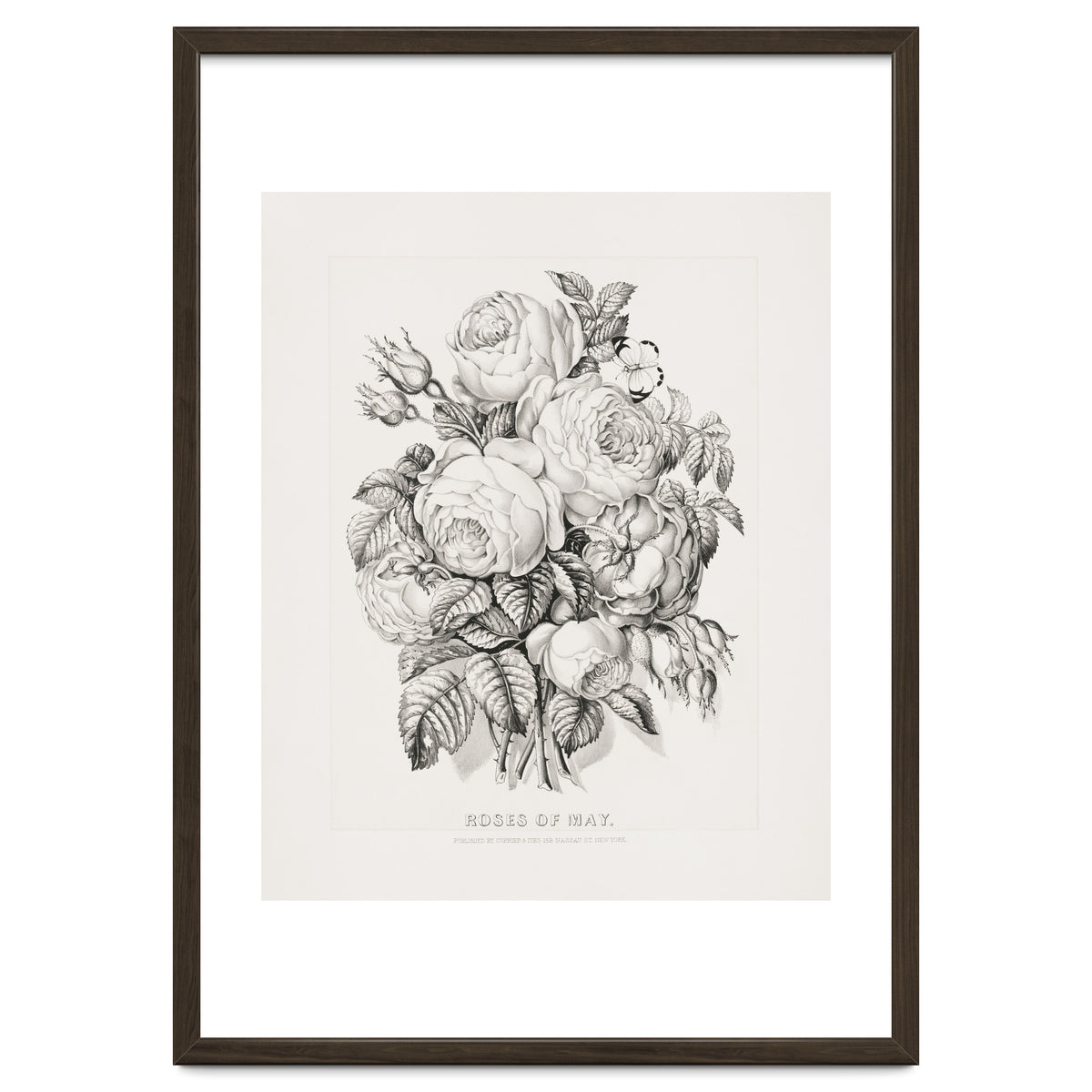 Currier & Ives – Rose of May (1870)