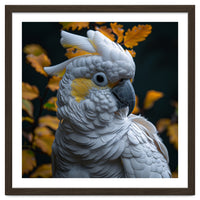 Yellow Crested Cockatoo Portrait Autumn Leaves Dark