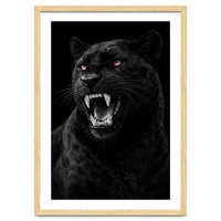 Black leopard with colorful eyes portrait