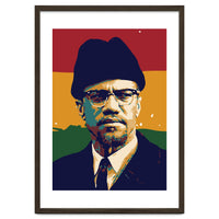 Malcolm X v2