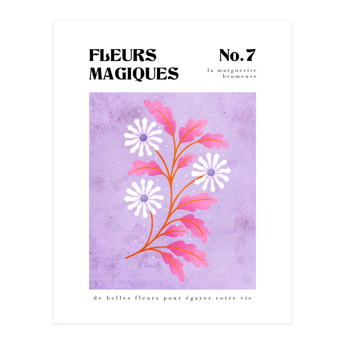 Magical Flowers No.7 Hazy Daisy (Print Only)