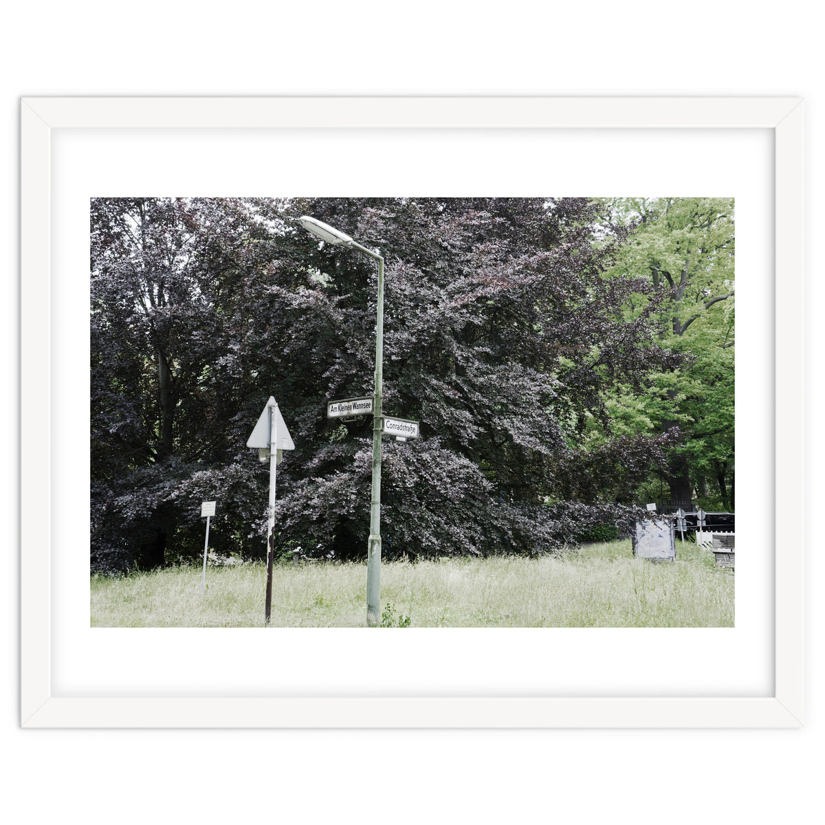 Signs at the corner of the street