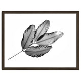 Branches and Leaves, 2016, 1 thumbnail