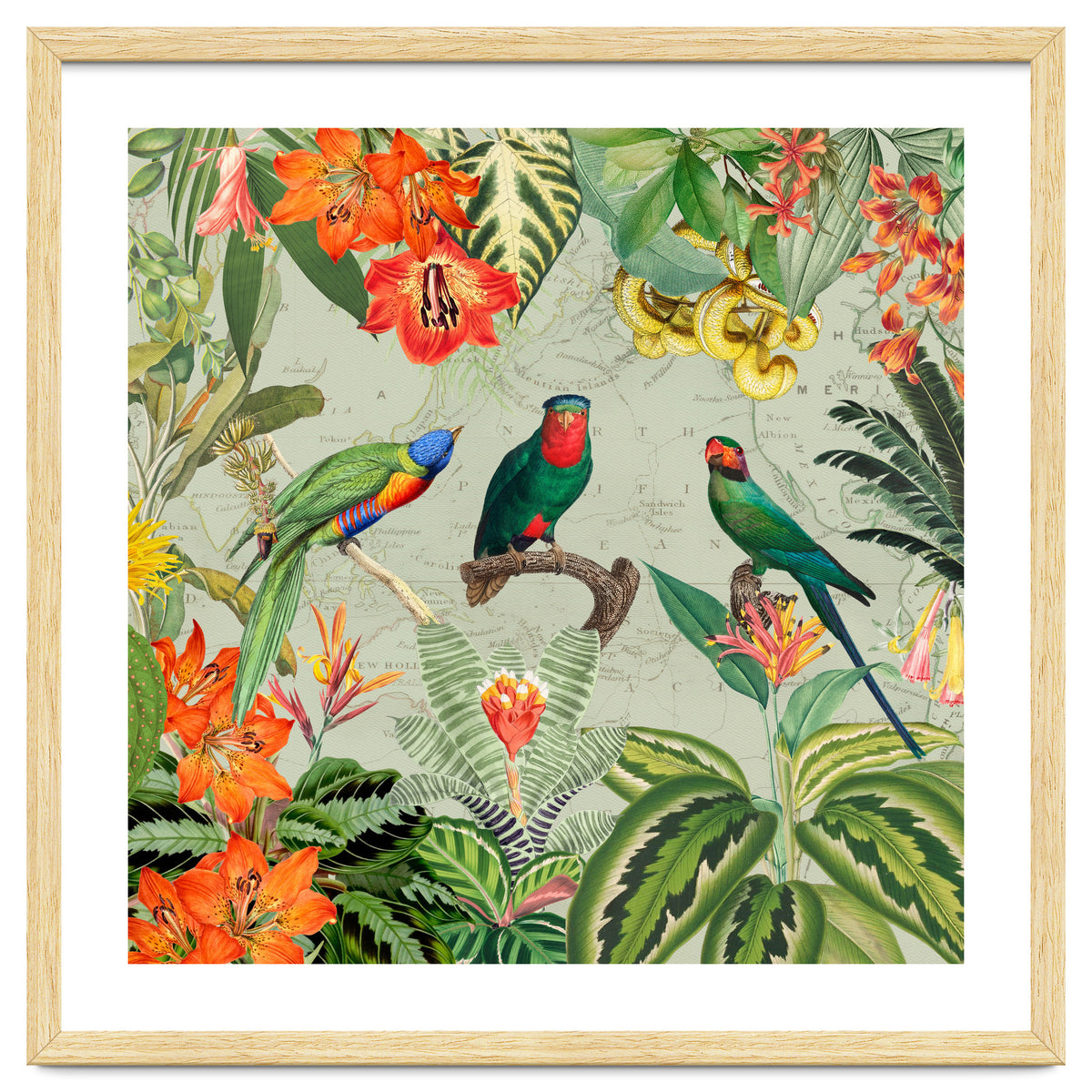 Exotic Parrots Jungle Landscape
