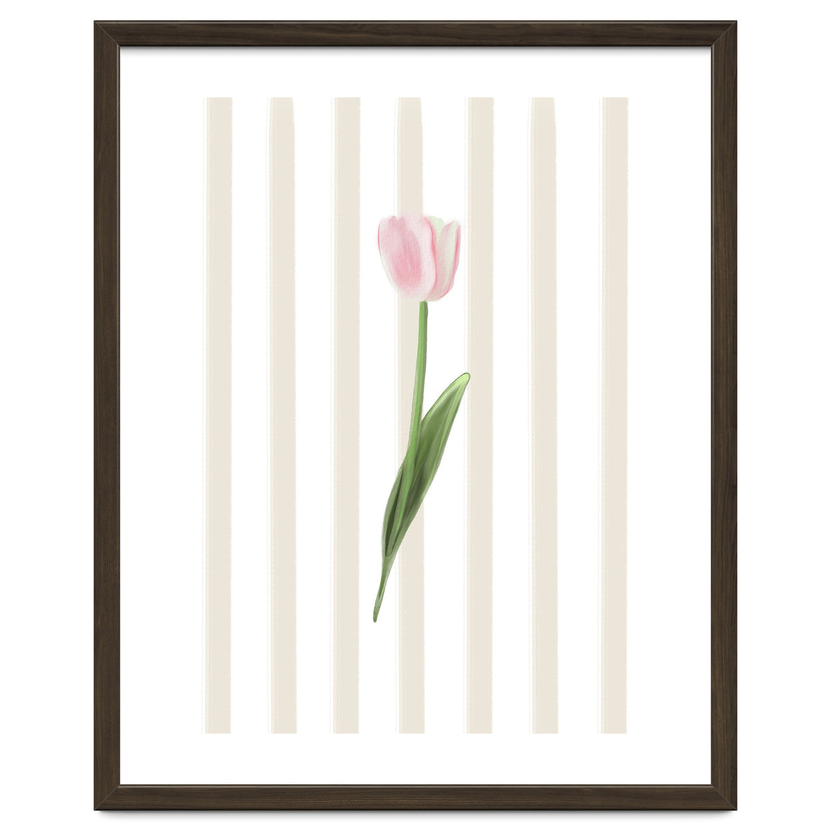 Single Tulip