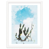 Cactus & Sky thumbnail
