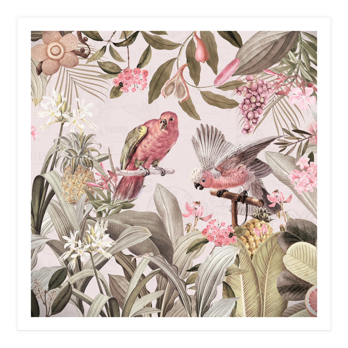 Colorful Parrots In Flower And Fruit Tropical Jungle (Print Only)