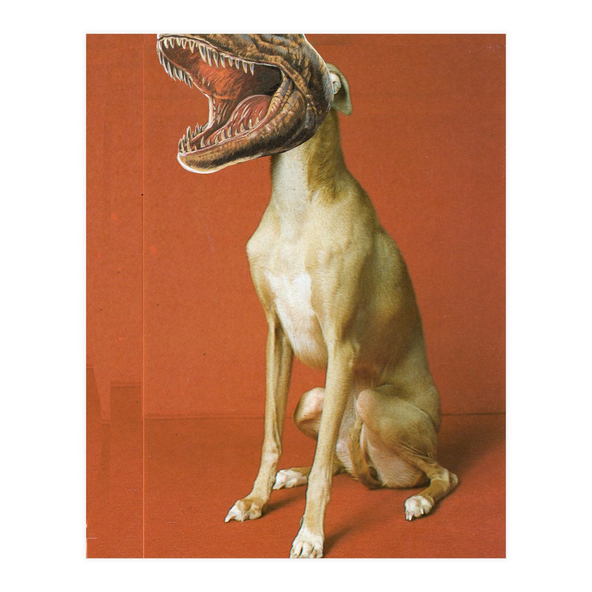 Modular Pets (Print Only)