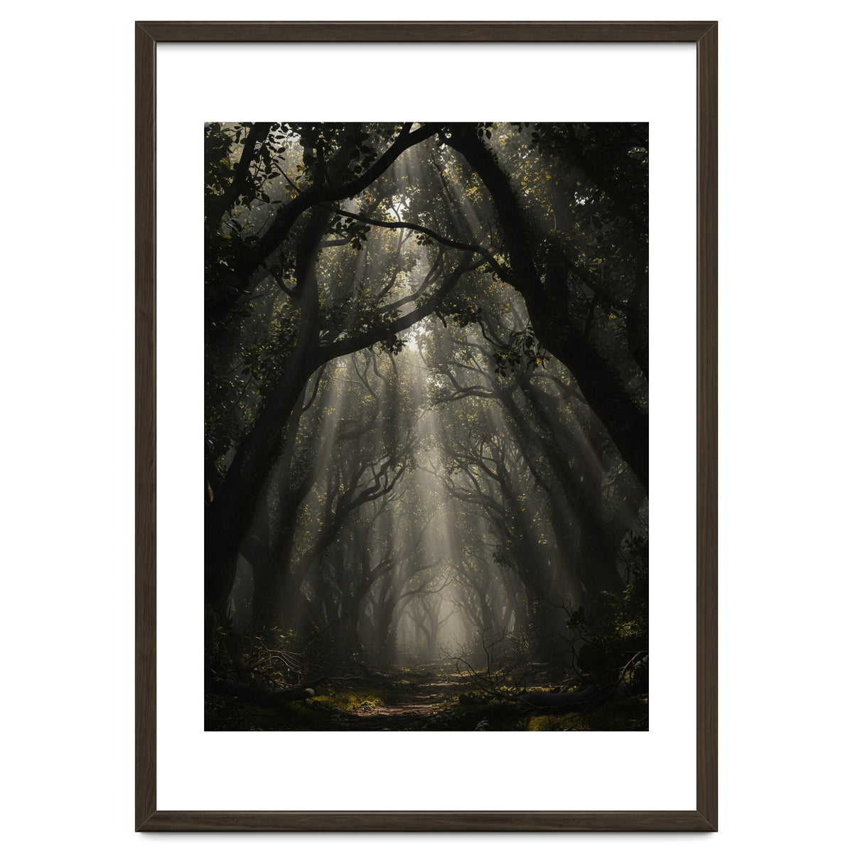 Enchanted Canopy: Mystical Forest Path