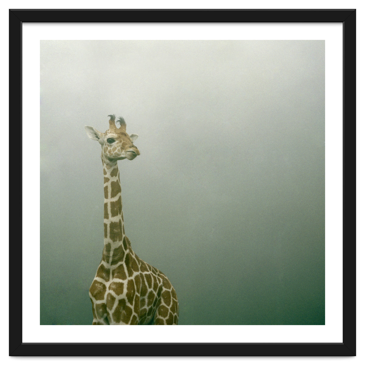 Silence of breath - 08