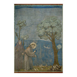 Saint Francis of Assisi preaching to the birds. Giotto. GIOTTO DE BONDONE (1266-1337). (Print Only) thumbnail