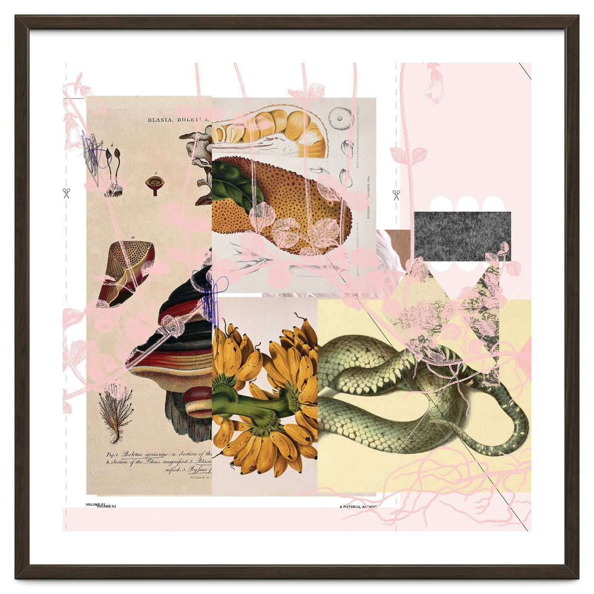 Abstract White Daydream Flower