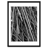 Black Tectorius Plant Shoots Art thumbnail